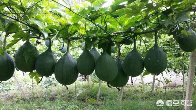 变压器密封用的橡胶密封制品一般都用哪些原材料呢？