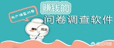 哪家网络公司做网站好，哪家网络公司做网站好一点