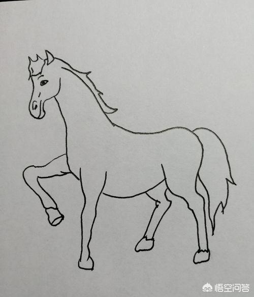 畫寵物簡筆畫?畫寵物簡筆畫圖片!