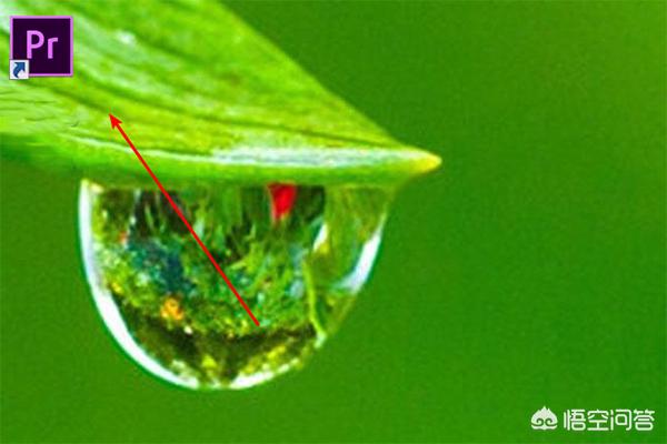 pr添加字幕pr添加字幕效果