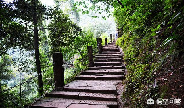 去成都旅游，请问哪些景点必去，住哪里比较方便