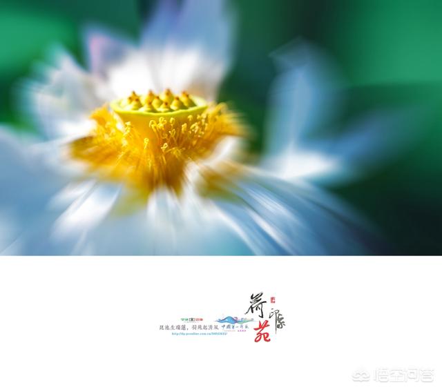 黑暗的图片（如何在光线暗的条件下拍出清晰的照片？）