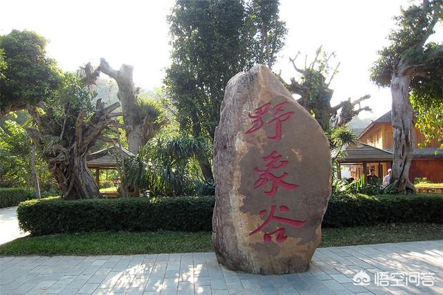 西双版纳告庄景点门票价格， 西双版纳告庄门票价格是多少