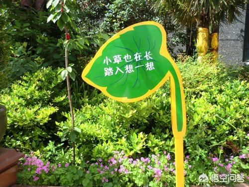 花卉养殖知识宣传语，花卉养殖知识宣传语大全