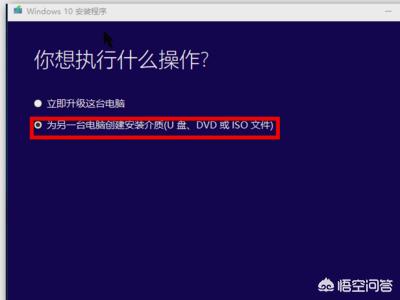 [msdn下载]如何使用MSDN下载系统？