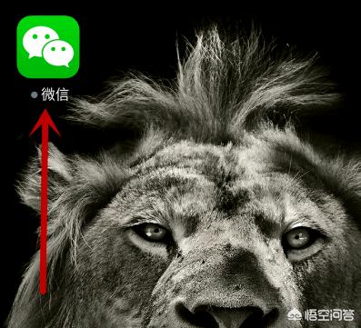 下载微信怎样登录和注册？：微信下载微信下载