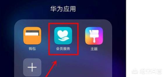 手机硬件型号查看,手机硬件型号检测app