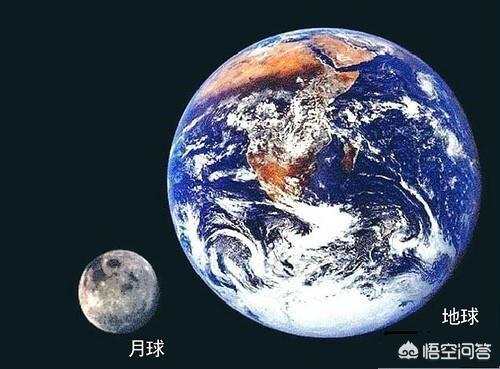 要学什么专业才可以做科学家