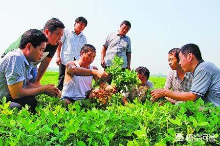 农业技术员前途如何急