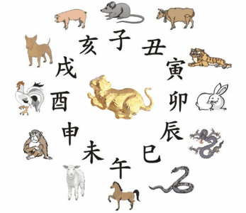 十二生肖全集，十二生肖全集免费播放