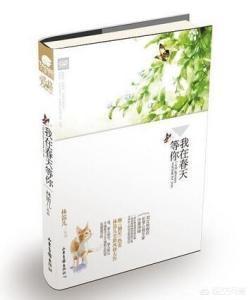 摘星2林笛儿txt下载（摘星by林笛儿百度云）