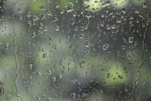 早晨下雨当日晴当的读音 早晨下雨当日晴 