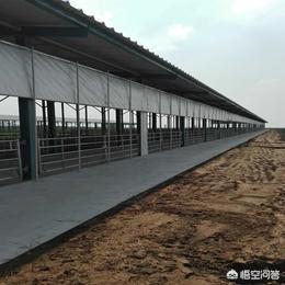 牛棚怎么建最好图片 十头牛的牛棚怎么建？