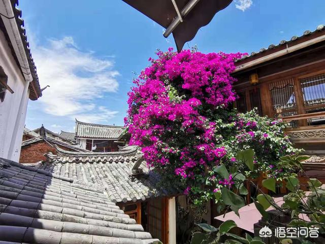 云南丽江市古城区好耍民宿地点推荐,丽江古城名宿排名