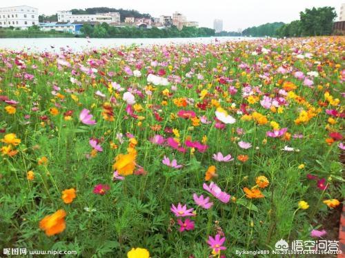 冬季园林养护浇水要注意什么-冬季园林养护浇水要注意什么问题