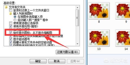 Win11不显示缩略图怎么办-win11文件夹显示缩略图