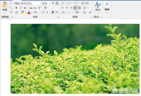 图片怎么转PDF？：图片转pdf