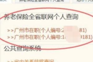 社会保险服务个人网站广东，广东社会保险服务个人网页