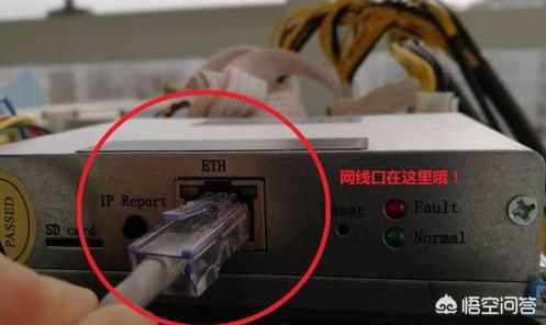 比特矿工怎么玩 比特矿工btckgs