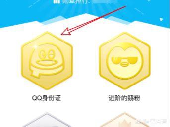 qq身份证（怎么查看QQ身份证？）