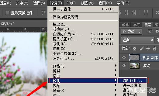 smartdeblur-smartdeblur下载