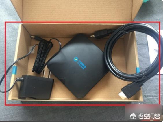 cc猫（ccfc名猫协会？）