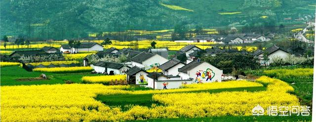 天天学农怎么样 天天学农是正规公司吗？