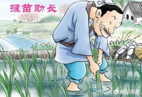 揠苗助长的寓言说明的哲学道理是