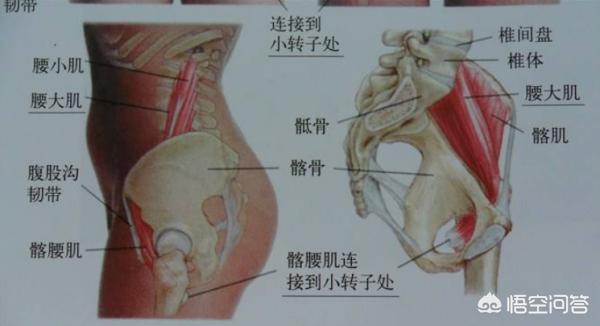 后腰是什么位置【 # 】后腰是什么位置足球