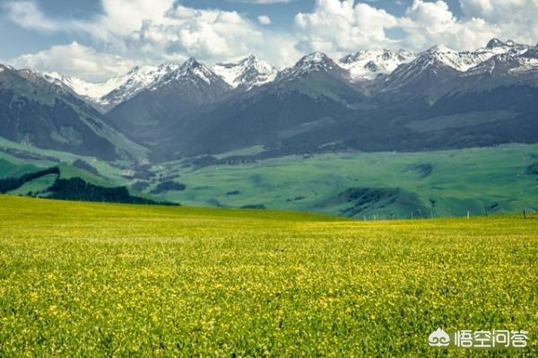 中国最大城市排名谁是第一_全中国最大城市