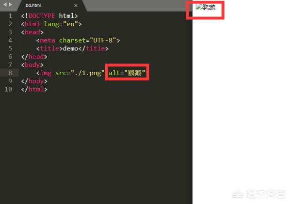 在html文件中怎么插入图像？html图片加文字如何布局？