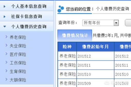 社保缴费记录如何查询，以往社保缴费记录如何查询