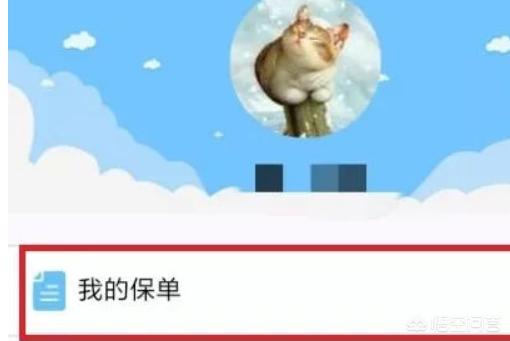 太平洋保险app下载，太平洋保险app下载官网