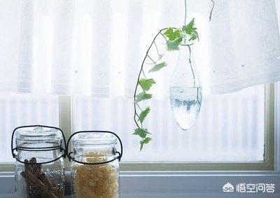 世界上最柔软的人_世界上最柔软的人类