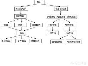 陈述性知识的学习过程，陈述性知识的一般过程