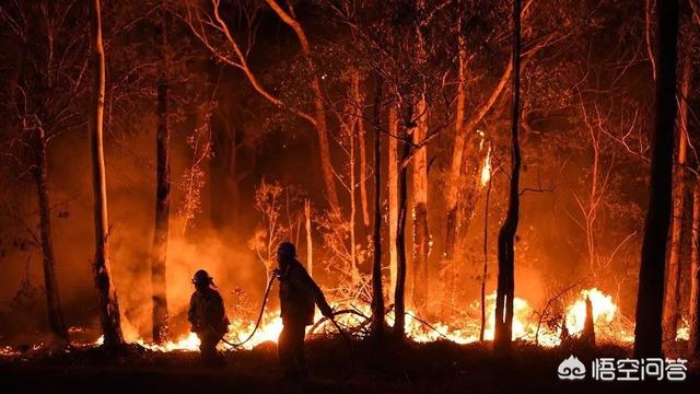澳大利亚大火最新（澳大利亚大火事件简介）