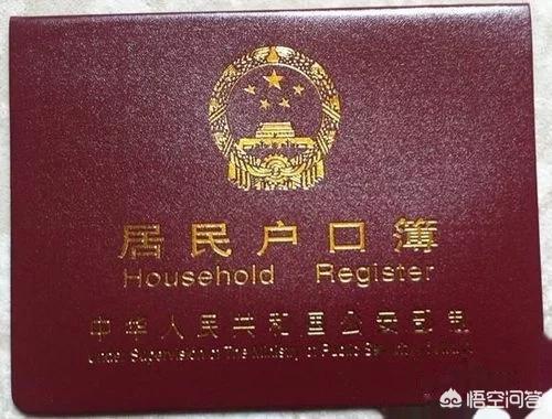 飞机没有身份证怎么办(图3)