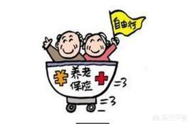 陕西省城乡居民养老保险查询，陕西省城乡居民养老保险查询系统