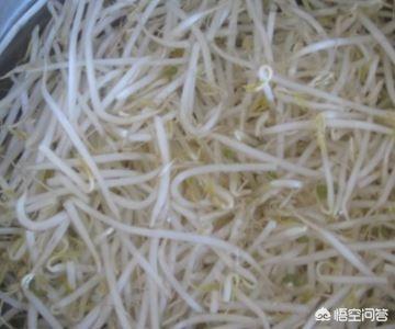 炒豆芽