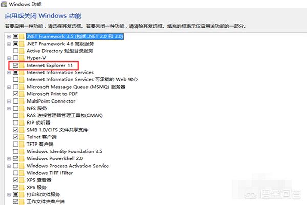 如何去掉/删除Internet Explorer浏览器(IE)？：ie卸载工具
