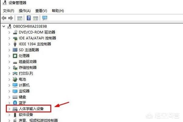 鼠标禁用一键解除（鼠标禁用一键解除怎么恢复）