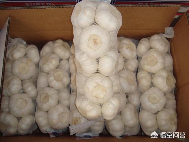 开小工厂项目(想在农村开厂子，但是不知道做什么好，大家给个建议？)