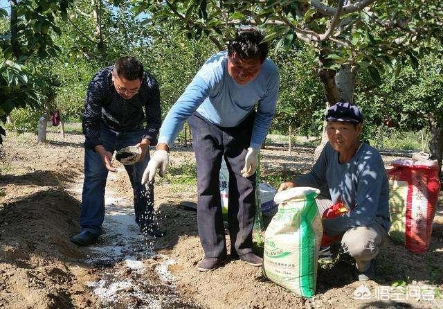 花卉春季施肥时间?花卉春季施肥时间表!