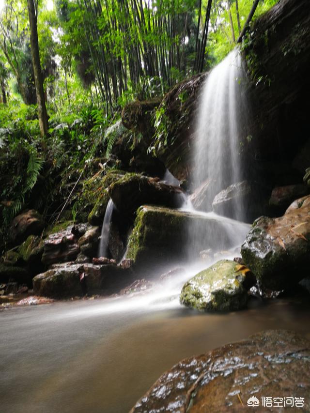 四川峨眉山旅游什么时候去最合适