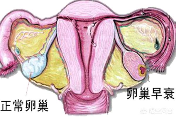 大家对于78岁老太太怀上孩子怎么看?老年得子好吗？：50阿姨性生殖视频