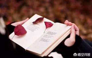 我的读书故事2000字（我的读书故事2000字怎么写）