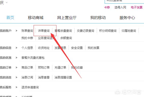 苹果手机如何查询(苹果手机如何查询通话记录)
