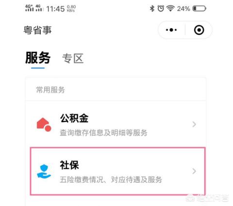 12333社保查询下载，12333社保查询下载安装