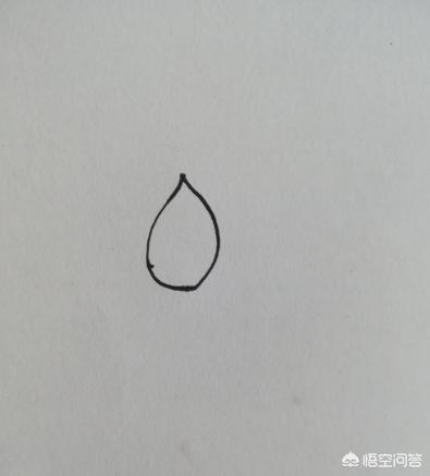 荷花的图片（荷花的图片简笔画）