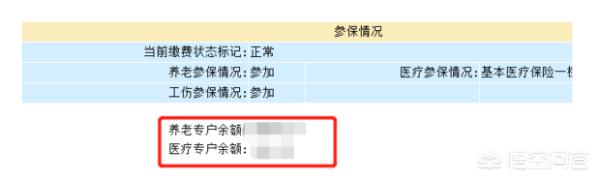 我的社保卡查询个人账户，社保卡个人账户金额查询
